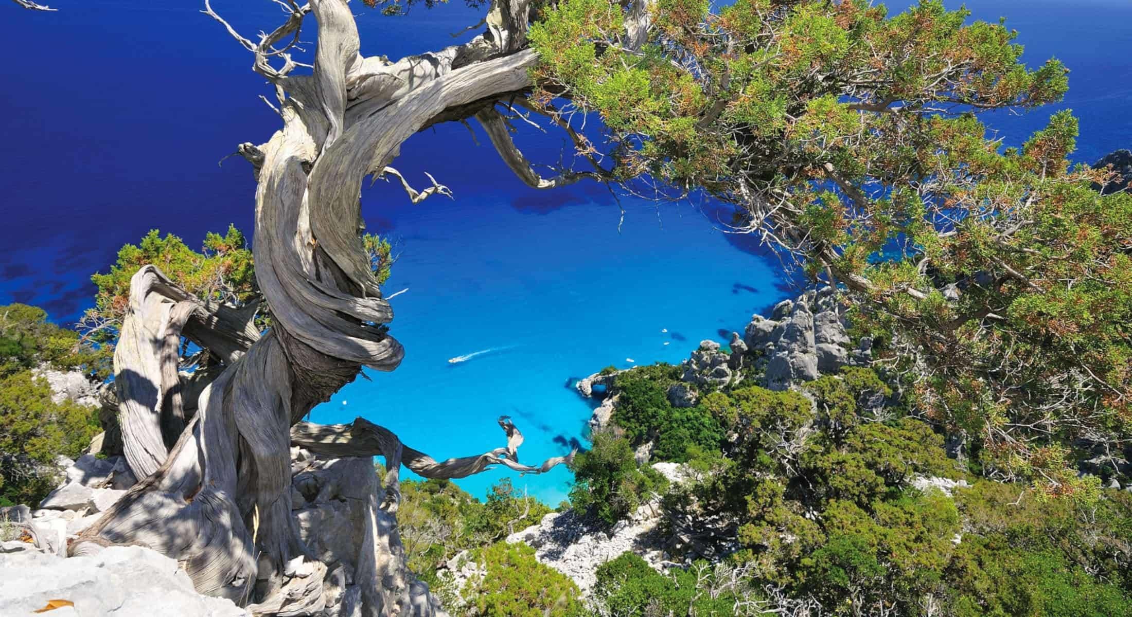 Arbatax Park Resort & SPA - Surroundings